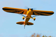 Load image into Gallery viewer, E-flite Clipped Wing Cub BNF Basic 1250mm (49") Wingspan - BNF