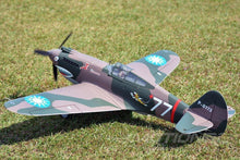 Load image into Gallery viewer, FMS P-40B Warhawk Flying Tiger 1400mm (55") Wingspan - PNP