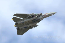 Load image into Gallery viewer, Freewing F-14 Tomcat Twin 80mm EDF Jet - ARF PLUS - (OPEN BOX)