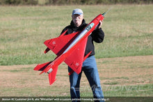 Load image into Gallery viewer, Freewing Mig-21 Silver High Performance 80mm EDF Jet - PNP