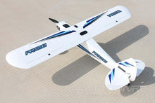 Load image into Gallery viewer, Dynam Primo 1450mm (57") Wingspan - RTF - (OPEN BOX)
