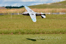 Load image into Gallery viewer, FMS P-40B Warhawk Flying Tiger 1400mm (55") Wingspan - PNP

