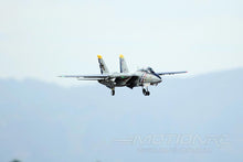 Load image into Gallery viewer, Freewing F-14 Tomcat Twin 80mm EDF Jet - ARF PLUS - (OPEN BOX)
