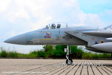 Load image into Gallery viewer, Freewing F-15C Eagle Super Scale High Performance 90mm EDF Jet - PNP
